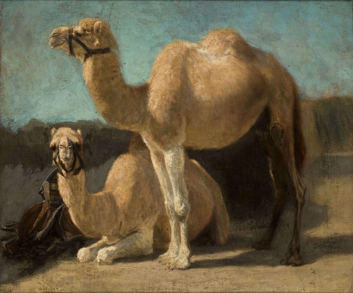 Oil painting of two camels, one standing and one sitting, against a pale blue sky
